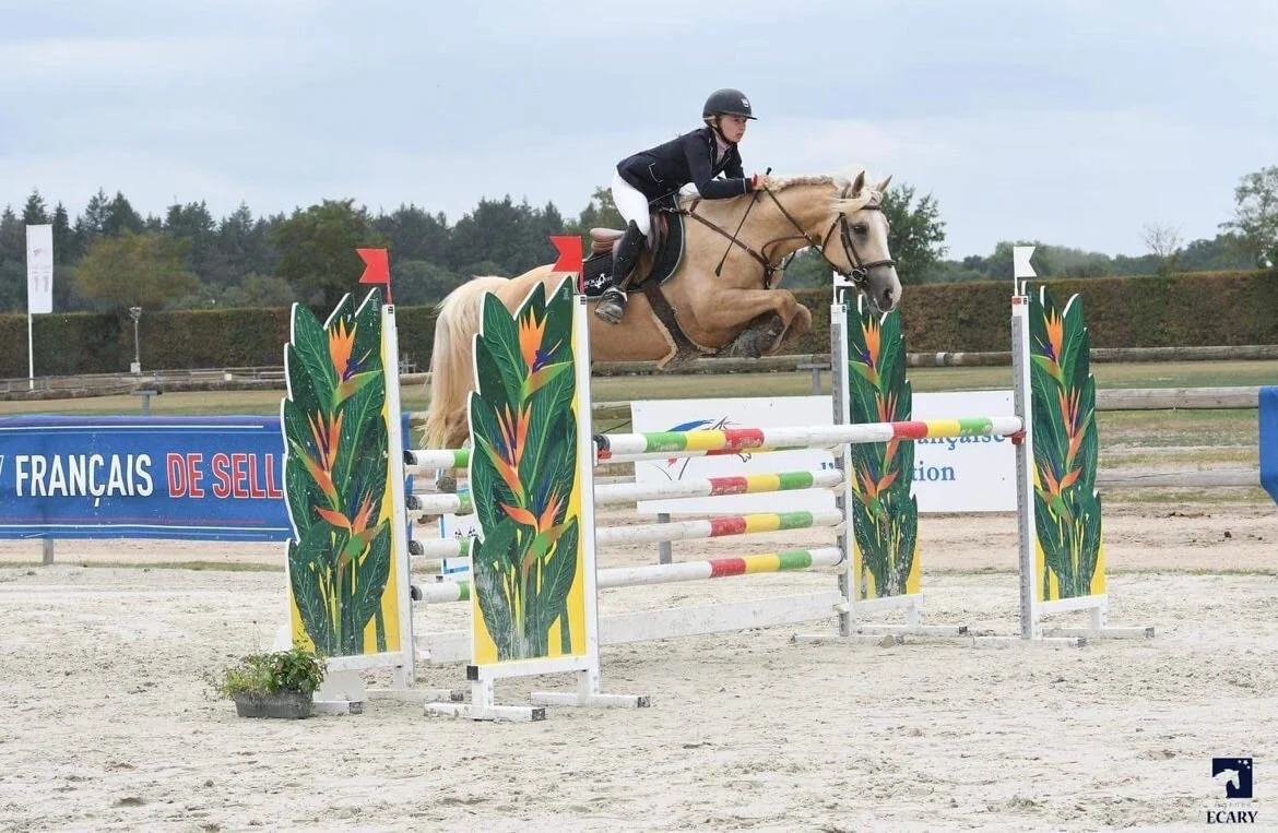 Cavalière en action lors d'un concours de saut d'obstacles (CSO) - HorseCompetition écurie et valorisation